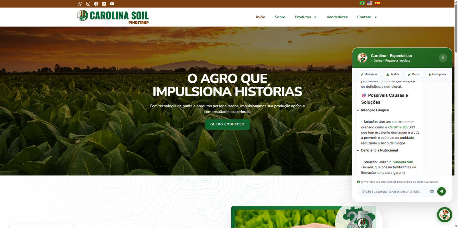 Sistema de chat no site da Carolina Soil