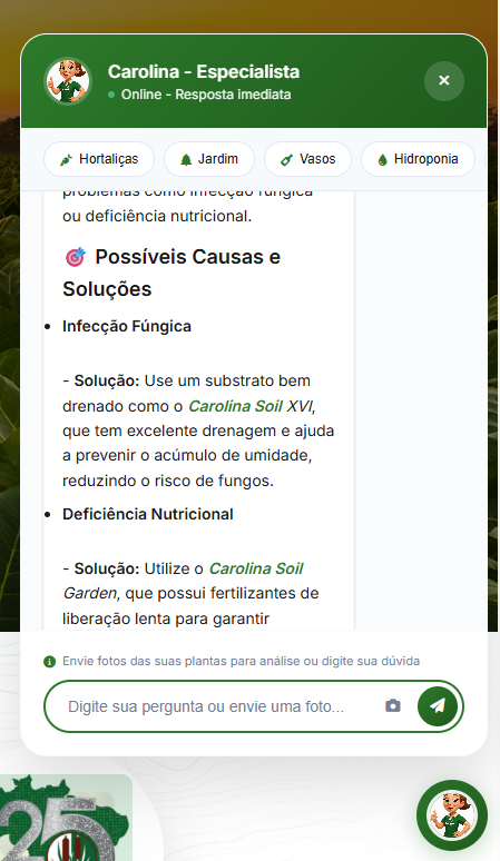 Análise completa pela IA